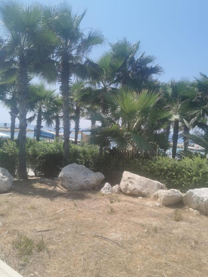 הוילה Peyia Sunset מראה חיצוני תמונה